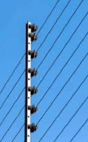 Electric Fencing / Perimeter Protection
