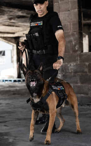 Tracking and Recovery