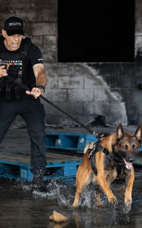 High Value Protection