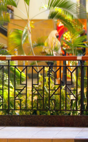 Indoor Plants (Plantscaping)